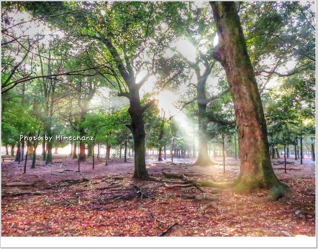 めざせ新海誠監督(しつこいっ)