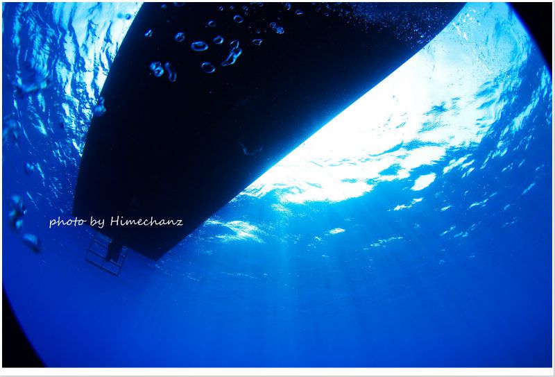 ベアーズ号 photo by Nikon D300