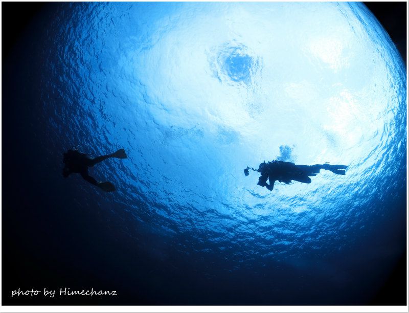 空を飛んでるようなダイバー photo by CANON PowerShot S100