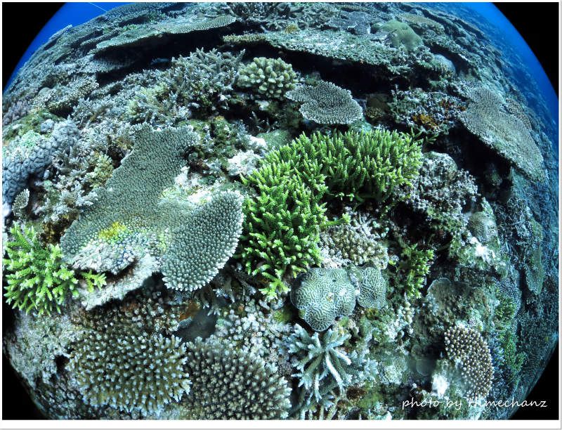 いつまでも残ってて欲しい景色 photo by CANON PowerShot S100