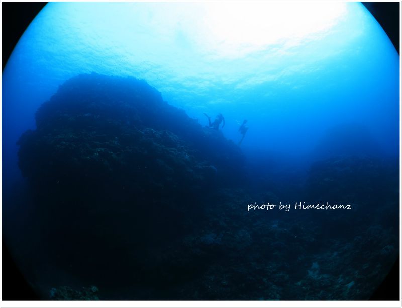 太陽の恵み photo by CANON PowerShot S100