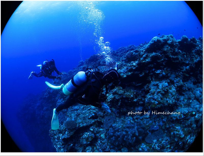 まったりと遊泳♪ photo by CANON PowerShot S100