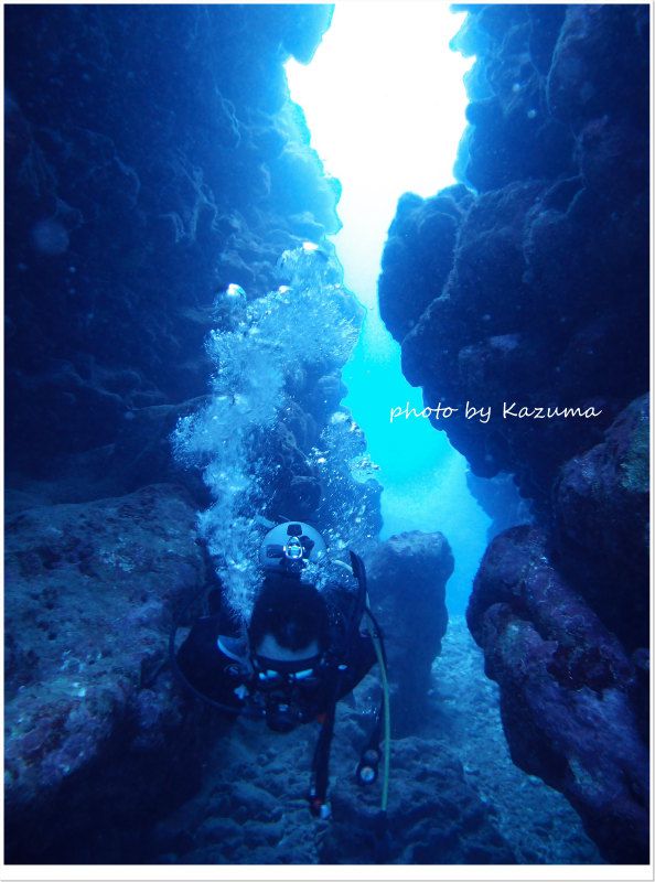 アーチをくぐります♪ photo by CANON PowerShot S100