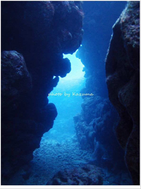 桜口のアーチ photo by CANON PowerShot S100