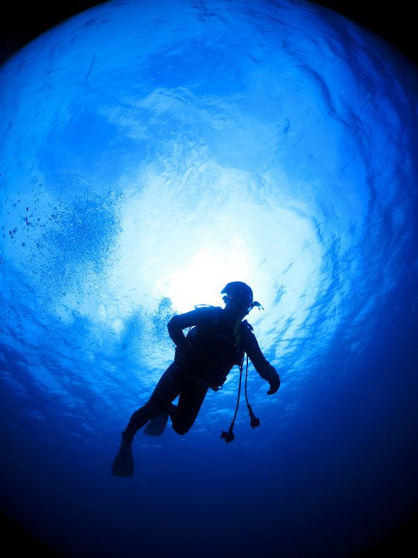 晴れた!!! photo by CANON PowerShot S100