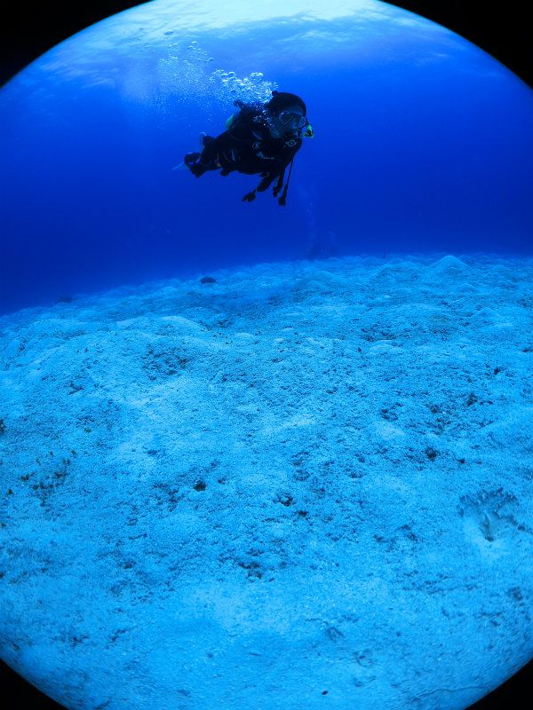 流れが強い中頑張って泳ぎました photo by CANON PowerShot S100