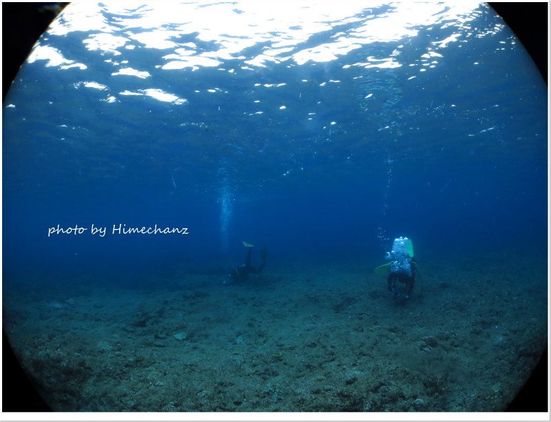 モンツキ探し中♪ photo by CANON PowerShot S100