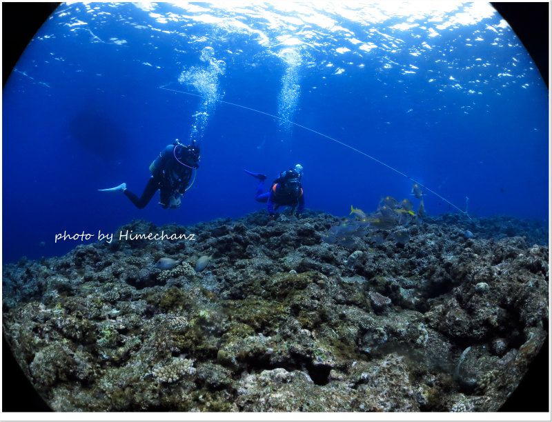 ノコギリダイ観察中のK様 photo by CANON PowerShot S100