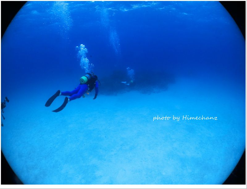 癒されますなぁ♪ photo by CANON PowerShot S100