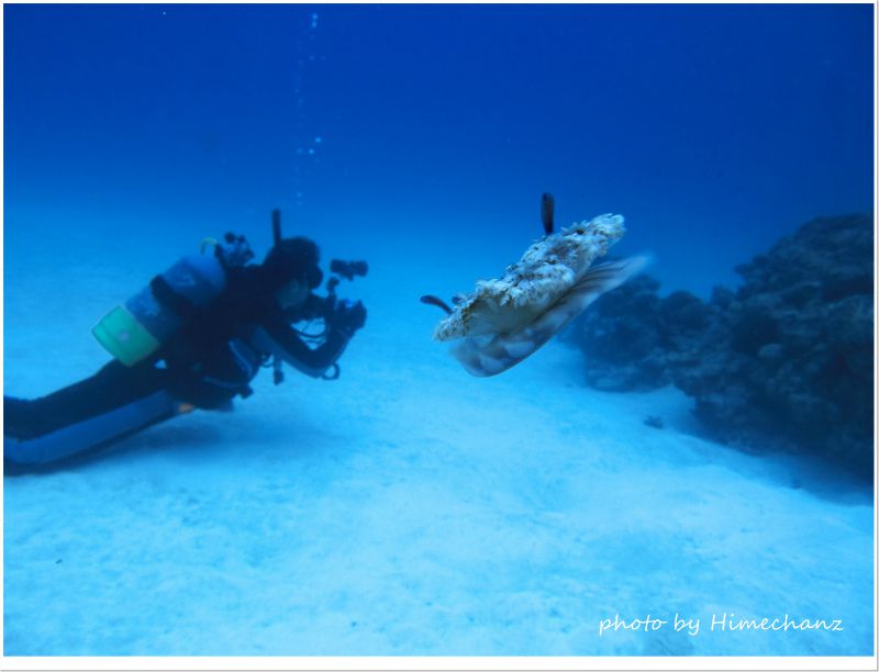 サカサクラゲがO様を襲う!? photo by CANON PowerShot S100