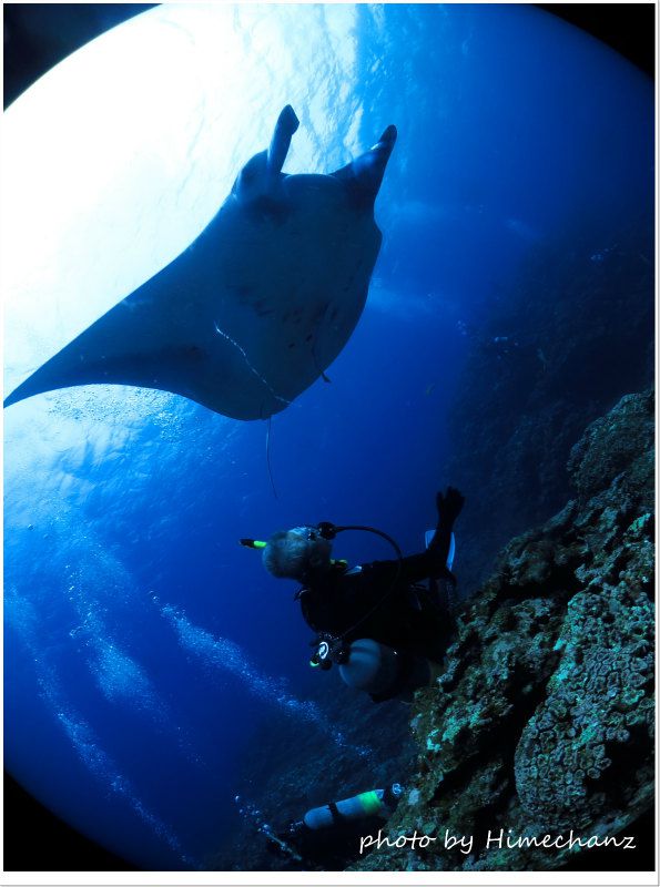 迫り来るマンタ! photo by CANON PowerShot S100