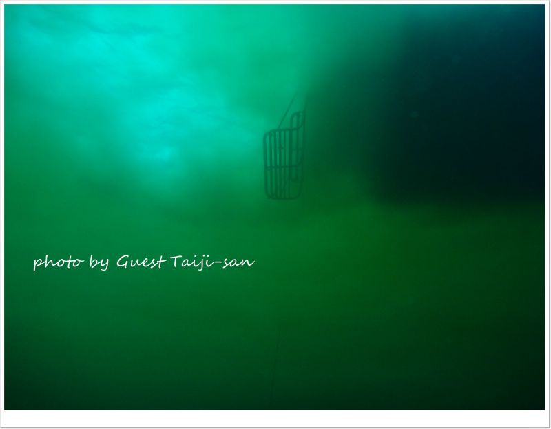 まるで流氷ダイブのような景色 photo by Panasonic DMC-FT1