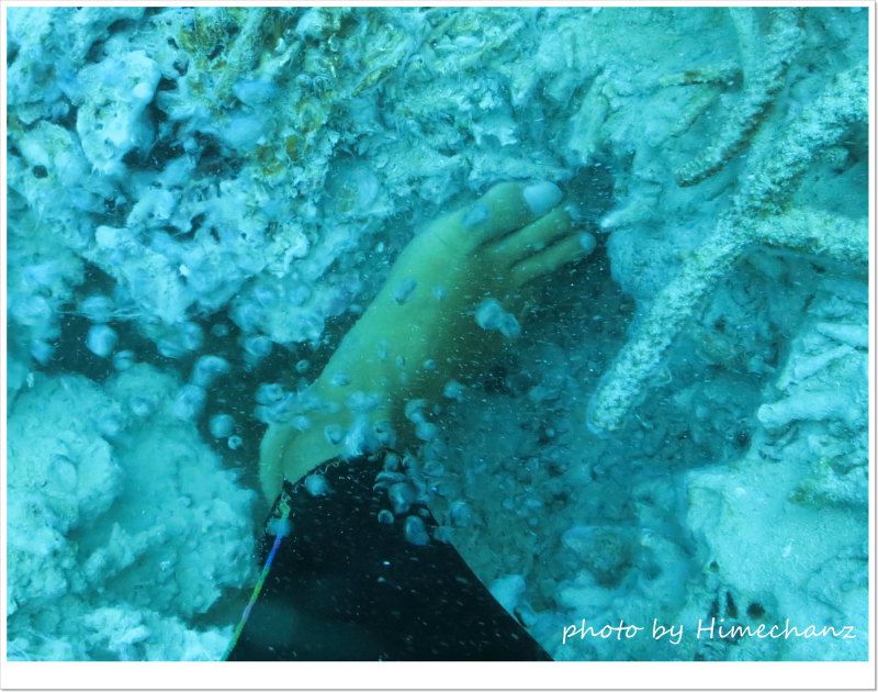 ヒメ 足湯中♪ photo by CANON PowerShot S100