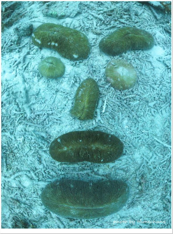 スラムダンク ゴリの似顔絵w photo by CANON PowerShot S100