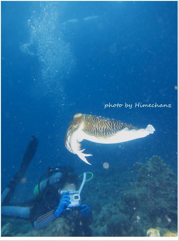 コブシメ越しのE様w photo by CANON PowerShot S100