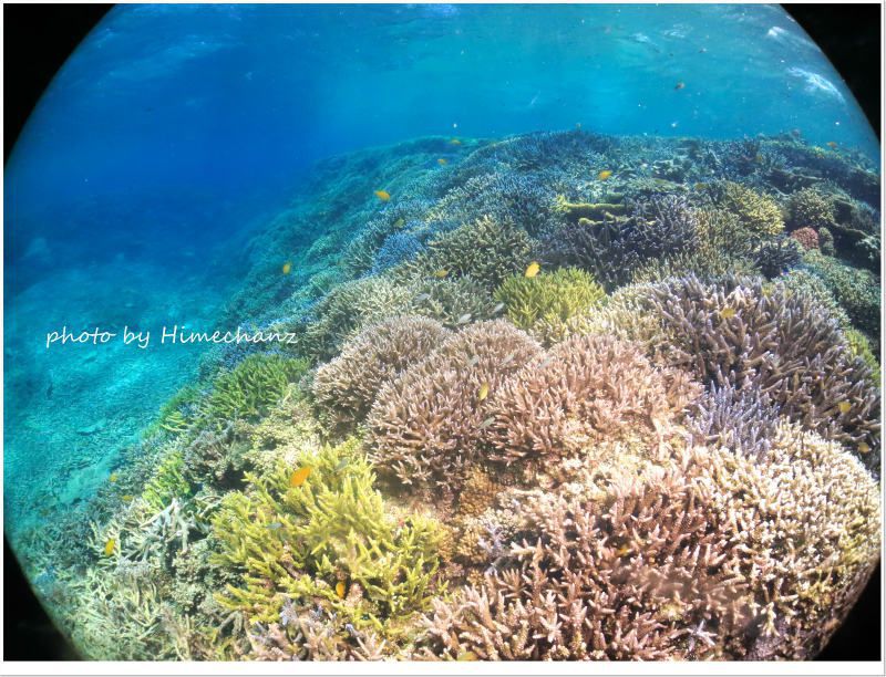 小浜島のこのポイントいいですよ!!! photo by CANON PowerShot S100