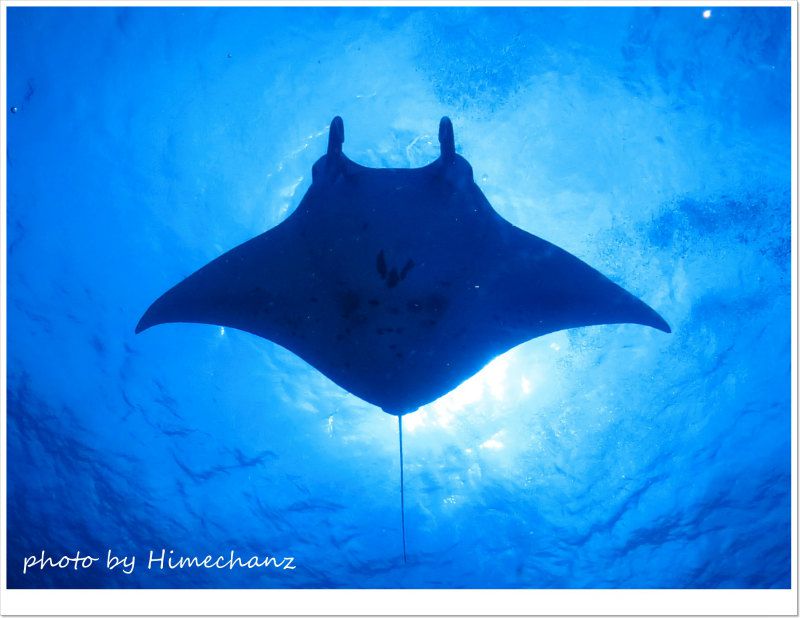 頭上にど~ん♪ photo by CANON PowerShot S100