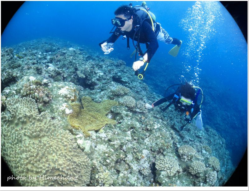 ネチネチダイビング初めてしてもらいました♪ photo by CANON PowerShot S100