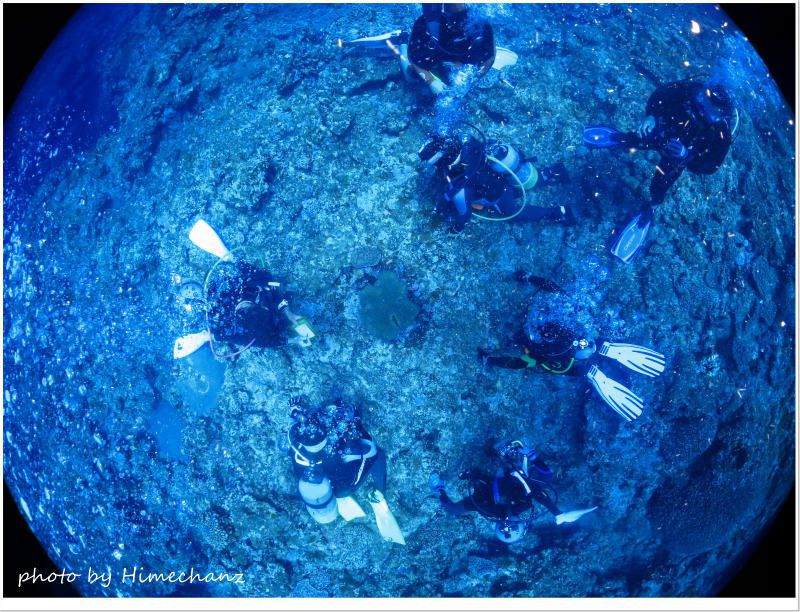 カクレクマノミ観察中♪ photo by CANON PowerShot S100