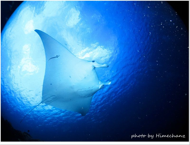 今日はこの子が居てくれて良かった!!! photo by CANON PowerShot S100