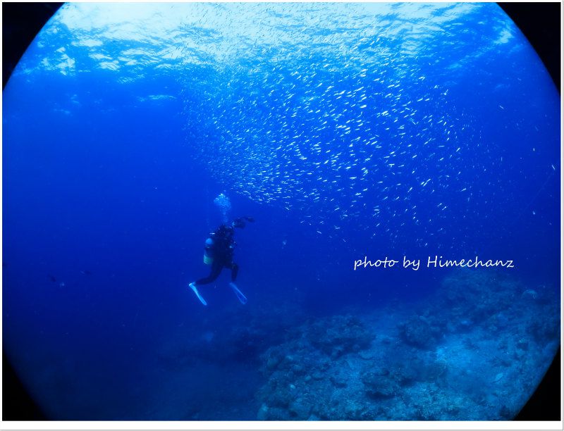 スク(アイゴ稚魚)の群れと戯れるN様w photo by CANON PowerShot S100