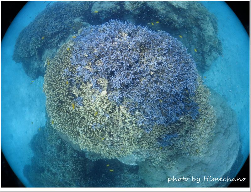 やっぱキレイだ!浜島東♪ photo by CANON PowerShot S100