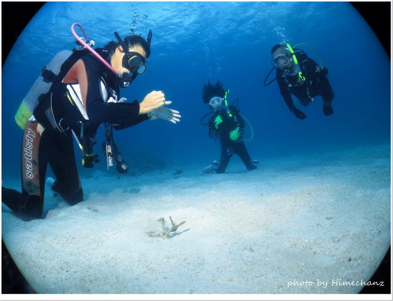 カミソリウオ観察中♪ photo by CANON PowerShot S100