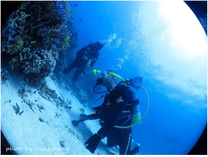沢山の生き物を観察していただきました♪ photo by CANON PowerShot S100
