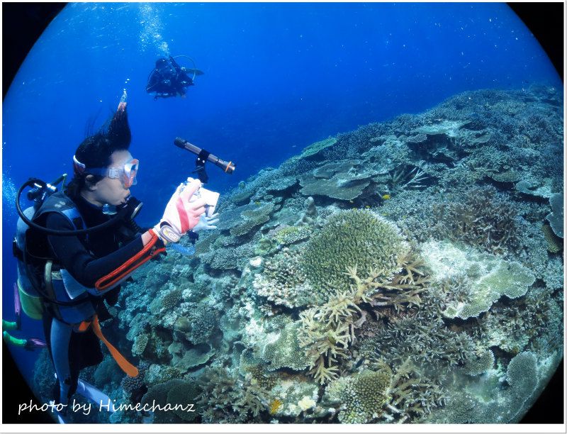 極上サンゴをたっぷり堪能♪ photo by CANON PowerShot S100