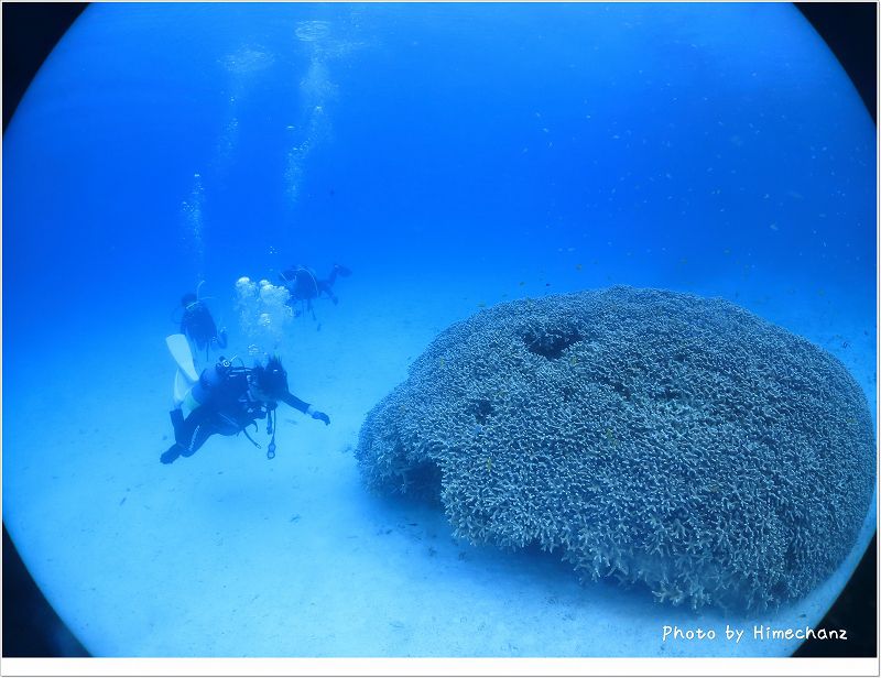 どこまでも続く青い世界 photo by CANON PowerShot S100