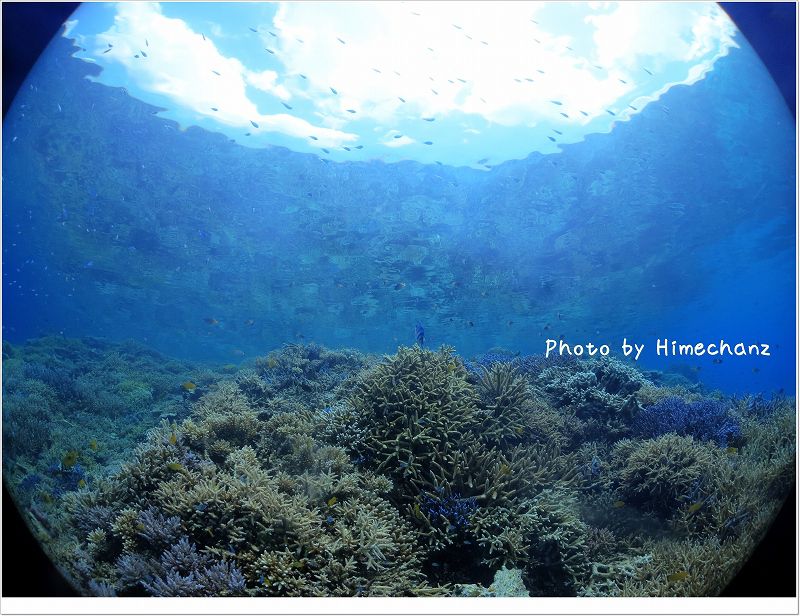 水面鏡にサンゴと空が広がっています! photo by CANON PowerShot S100