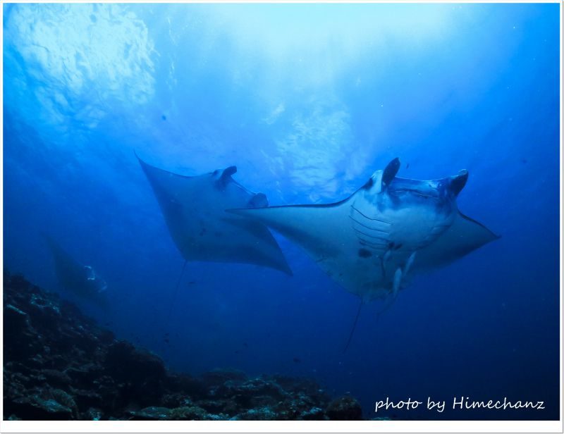 マンタ、どどどーん! photo by CANON PowerShot S100