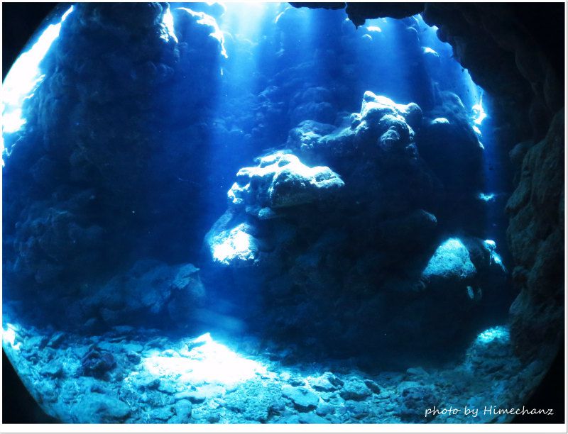 神々しい光に包まれました! photo by CANON PowerShot S100