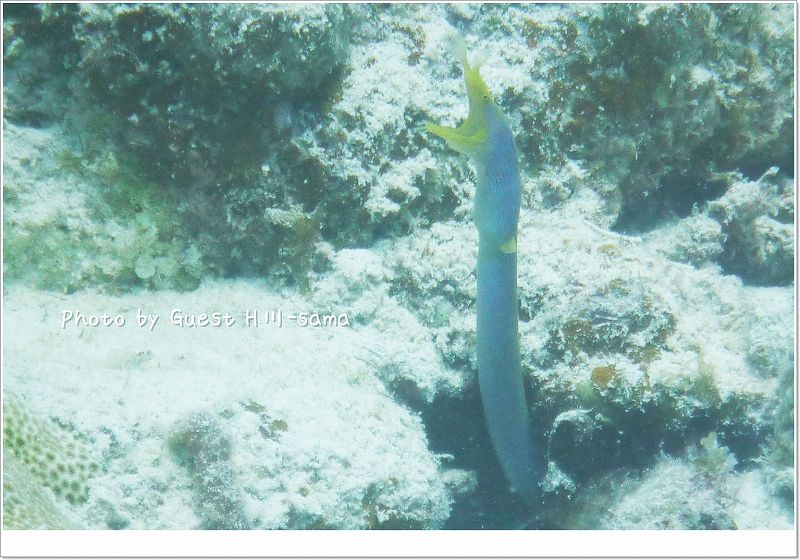 びよーん photo by Panasonic DMC-FX40