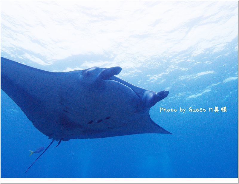 まんたどーん Photo by OLYMPUS XZ-1