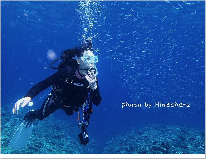 キビナゴきらきら流星群 photo by OLYMPUS STYLUS TG-2 Tough