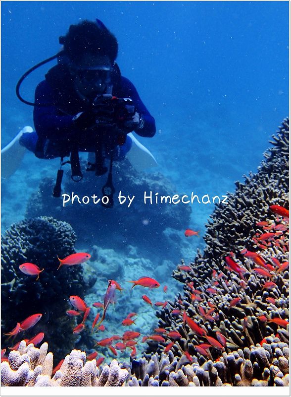 激写! photo by OLYMPUS STYLUS TG-2 Tough