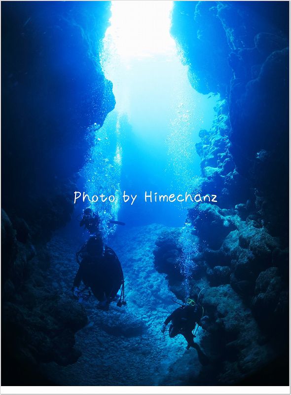 魚のアーチをくぐりました! photo by CANON PowerShot S100