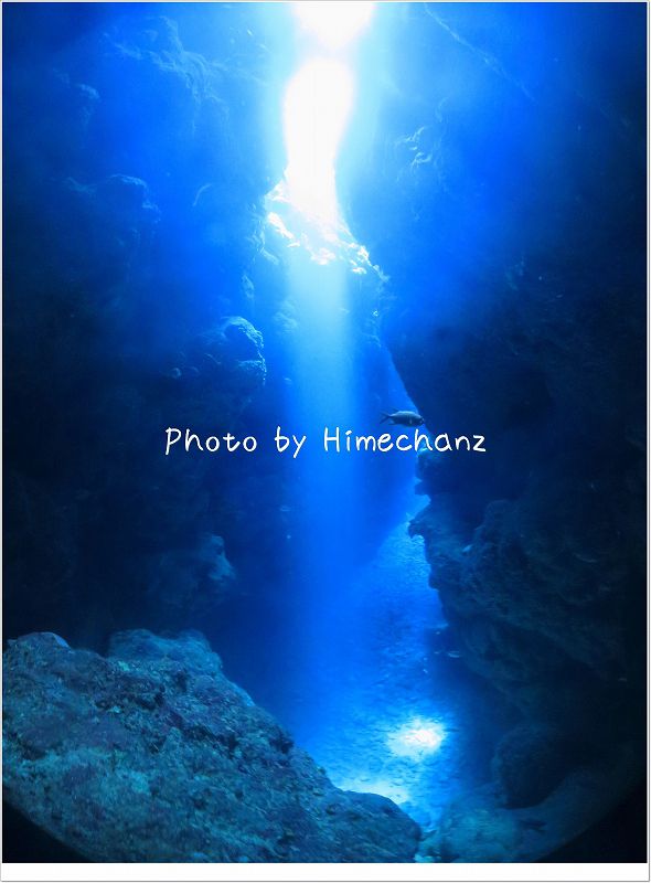 美しくそそぐ太陽の光 photo by CANON PowerShot S100