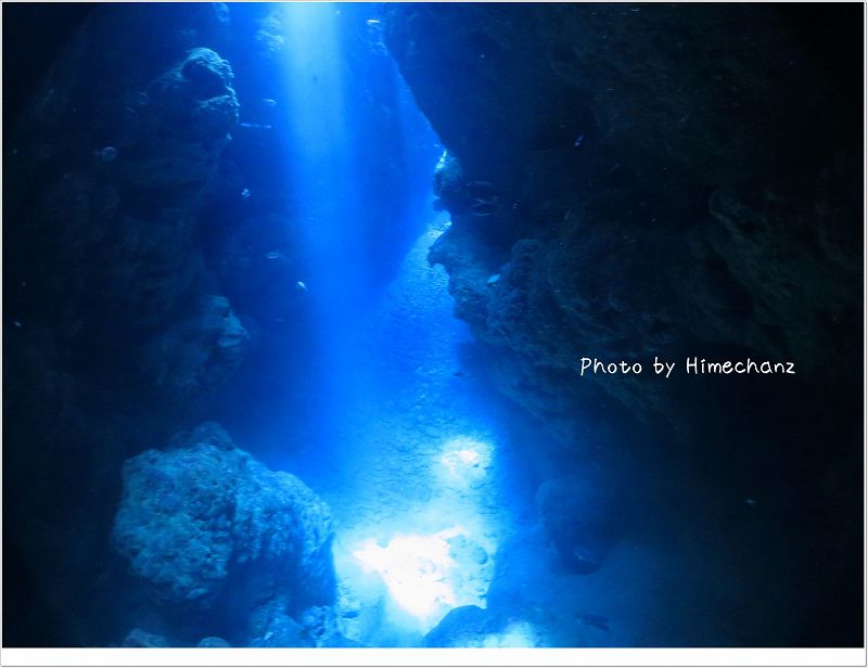 見とれちゃいました!! photo by CANON PowerShot S100