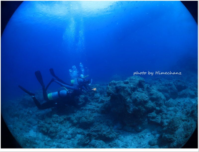 ワカウツボを観察中♪ photo by CANON PowerShot S100