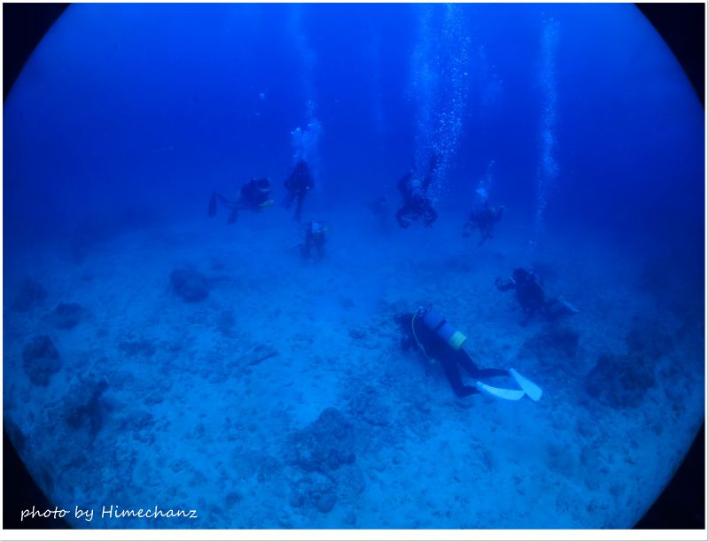 ヤッコエイの捕食シーンを観察中♪ photo by CANON PowerShot S100