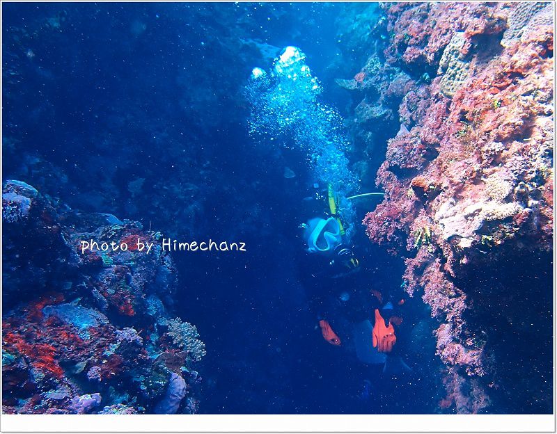 小さな穴を通り抜けました! photo by OLYMPUS STYLUS TG-2 Tough