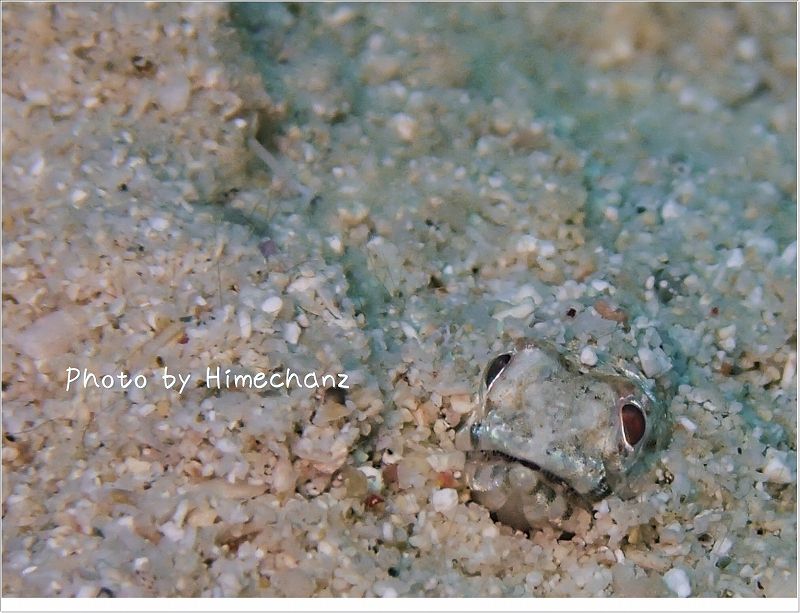 目線が気になる・・・ photo by OLYMPUS STYLUS TG-2 Tough