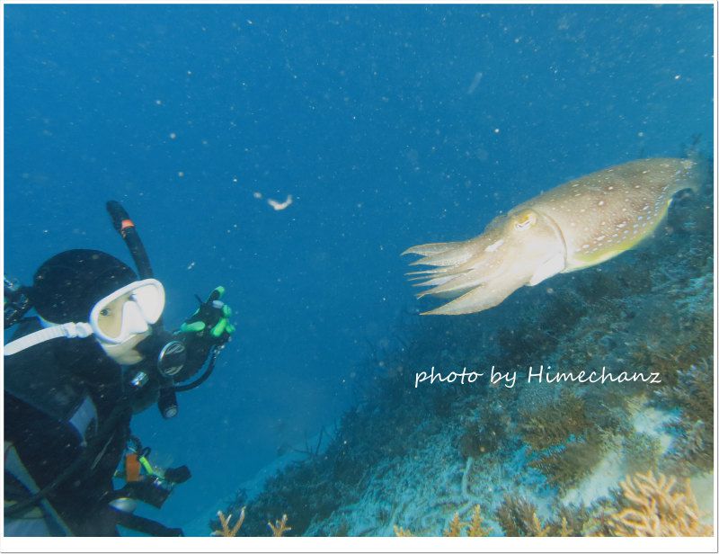 コブシメじっくり観察中♪ photo by CANON PowerShot S100