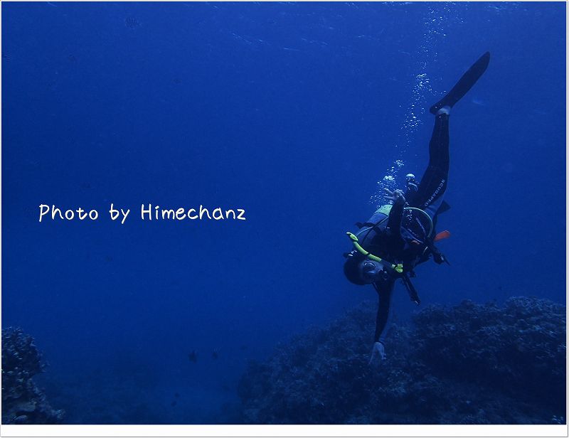 ひたすら景色を堪能されてました! photo by OLYMPUS STYLUS TG-2 Tough