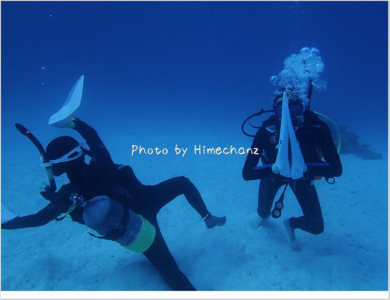 こけてる姿が面白い・・・。 photo by OLYMPUS STYLUS TG-2 Tough