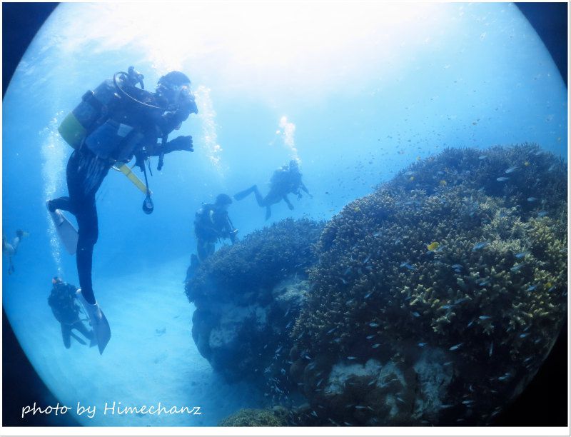 お正月に極上サンゴポイントに来れるなんて♪ photo by CANON PowerShot S100
