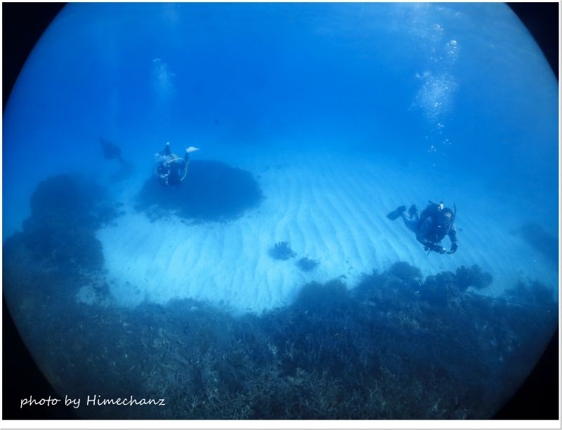 透明度の高い今日の浜島東でした♪ photo by CANON PowerShot S100