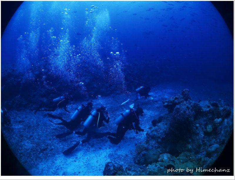 いざブルーコーナーへ♪ photo by CANON PowerShot S100